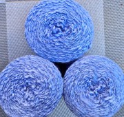 magnoliablue2.jpg