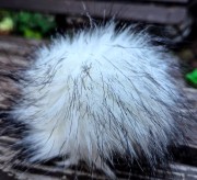 pomponbialy.jpg